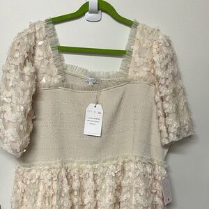 Ivy City Lined Fancy Beige Dress NWT, size 5X